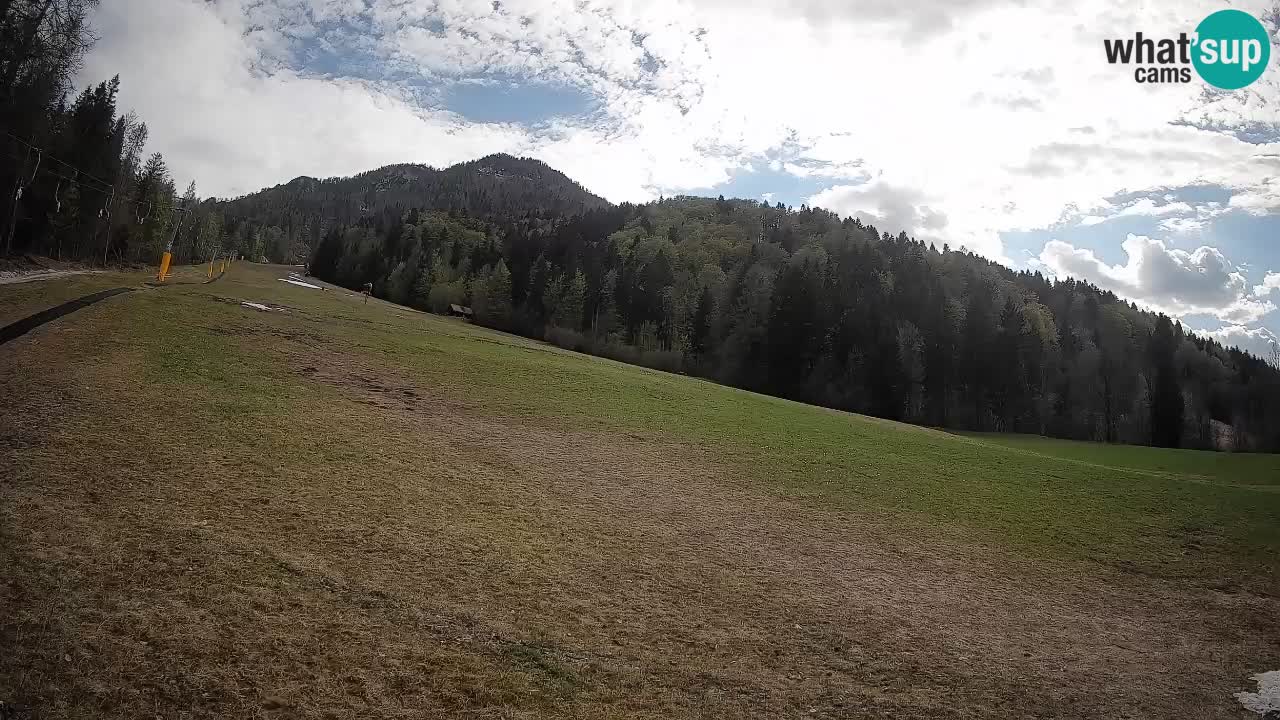 Ski Kranjska Gora | Brsnina