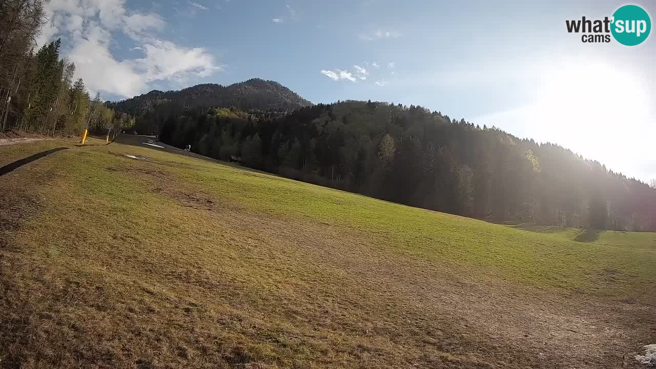 Kranjska Gora SKIJANJE | Brsnina