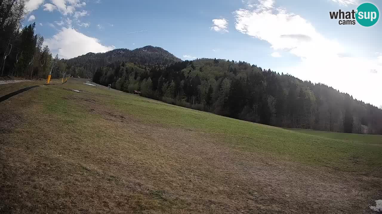 RTC Kranjska Gora | Brsnina
