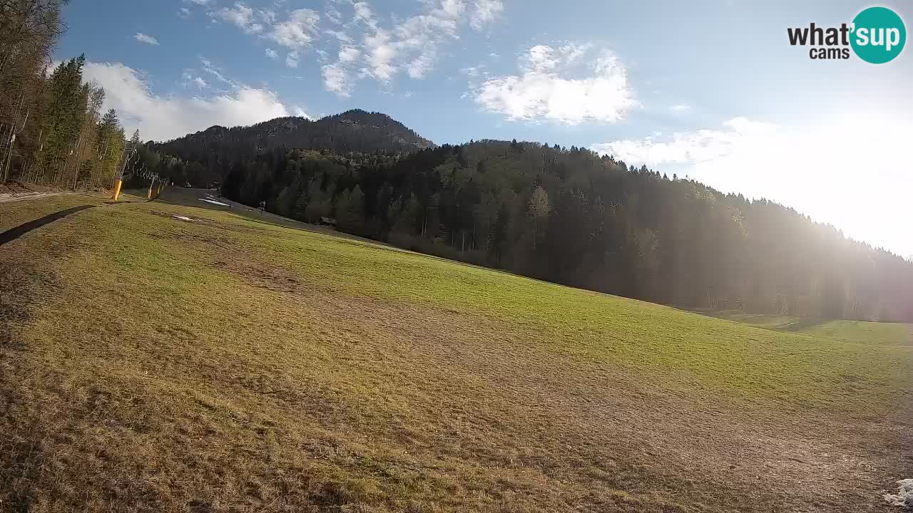 RTC Kranjska Gora | Brsnina