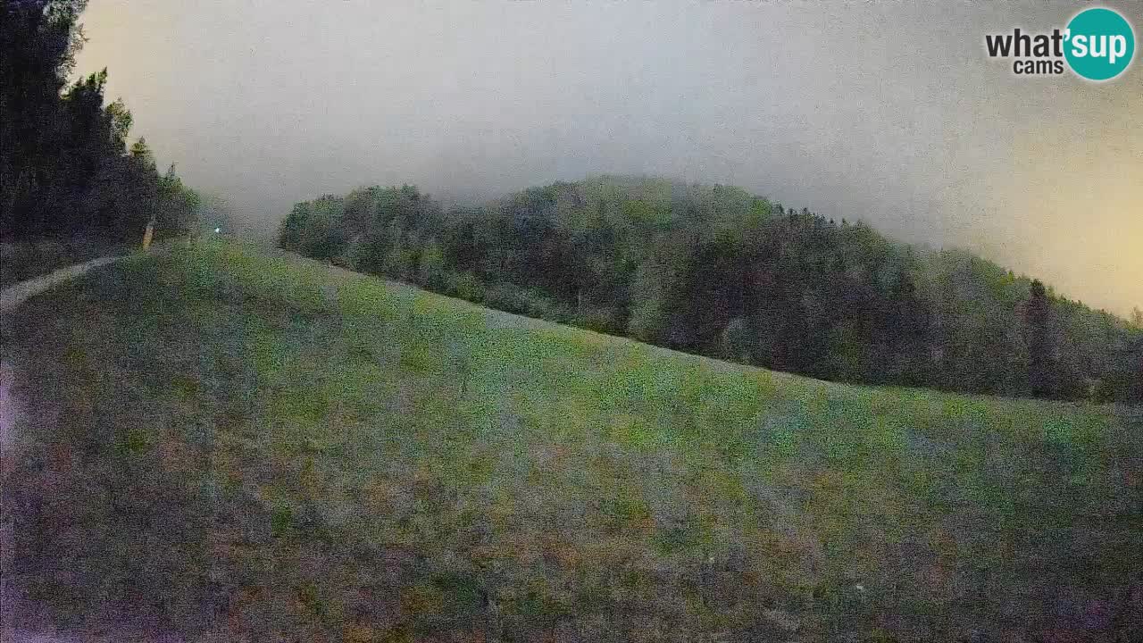 Ski Kranjska Gora | Brsnina