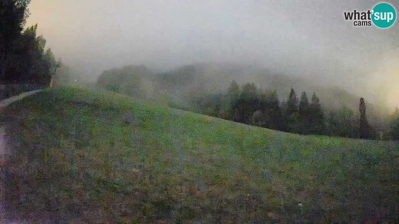 RTC Kranjska Gora | Brsnina