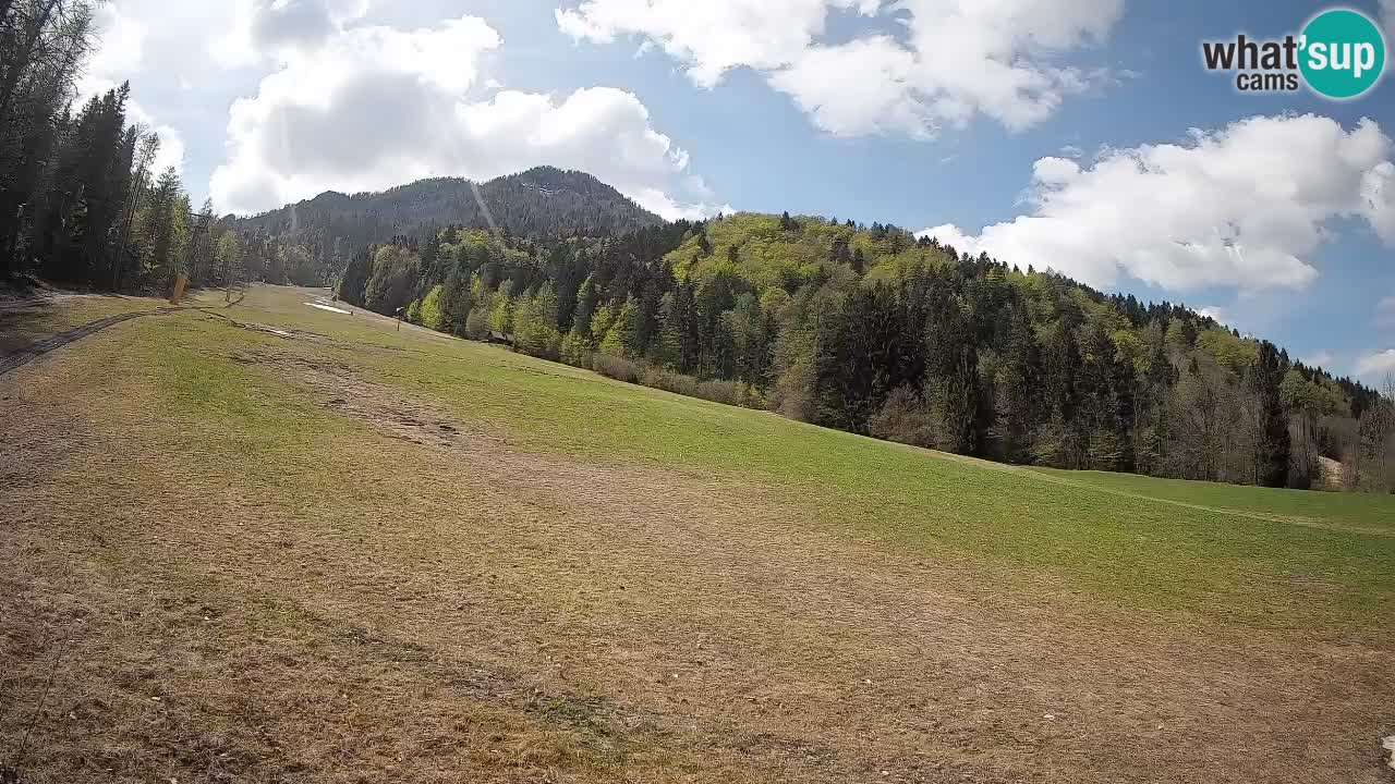 RTC Kranjska Gora | Brsnina