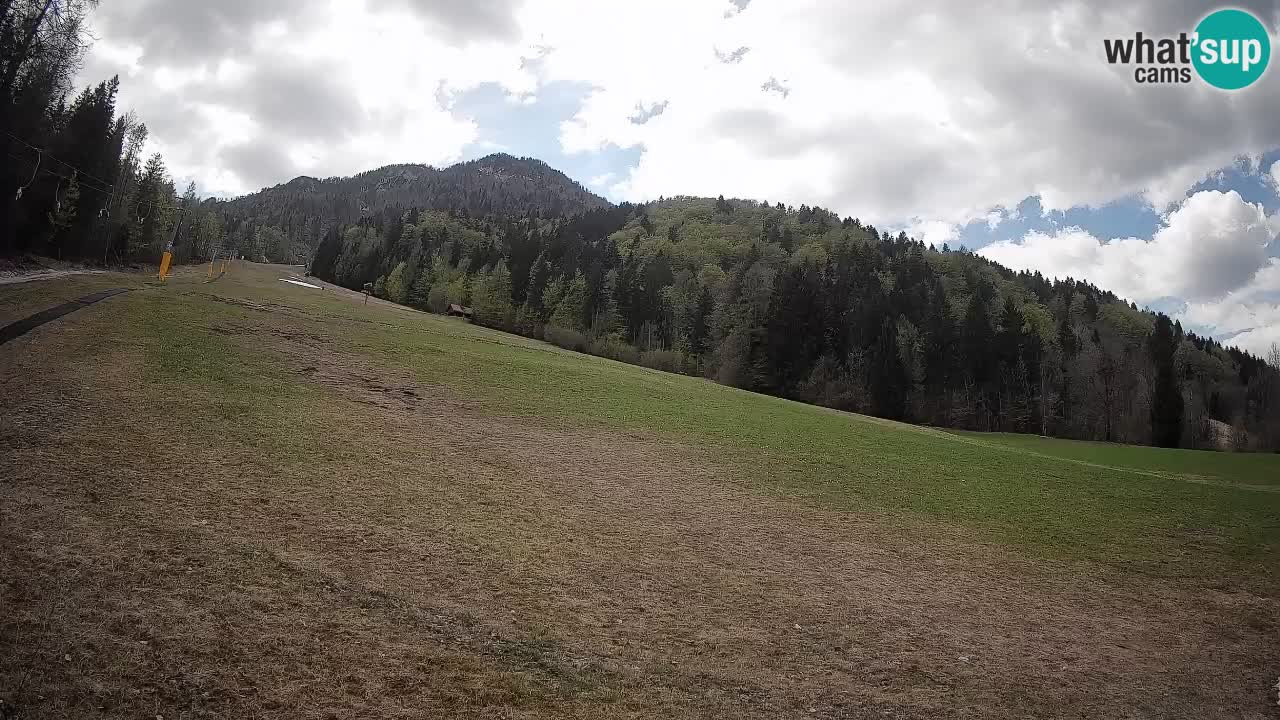 RTC Kranjska Gora | Brsnina