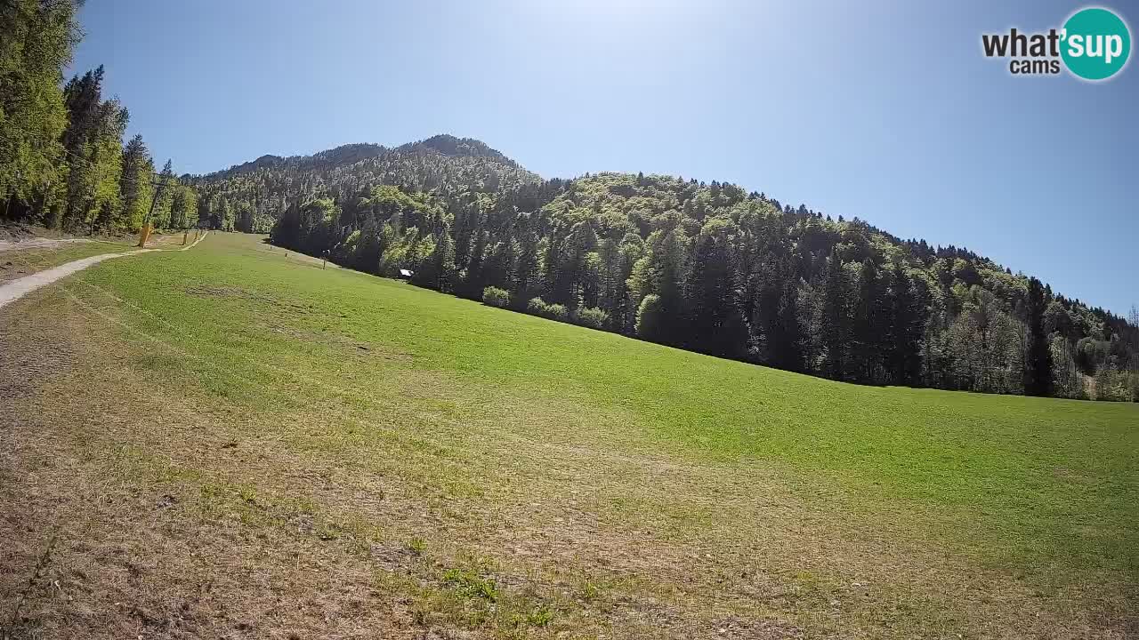 RTC Kranjska Gora | Brsnina