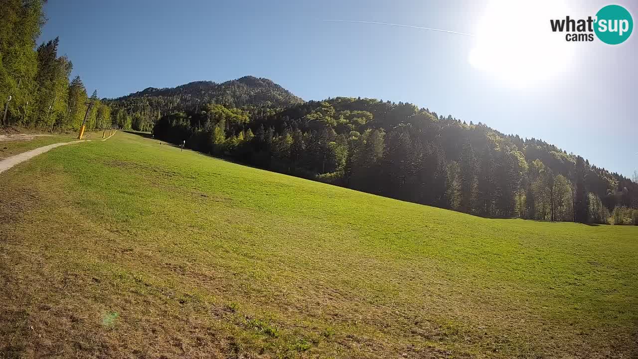 Kranjska Gora Station de ski | Brsnina