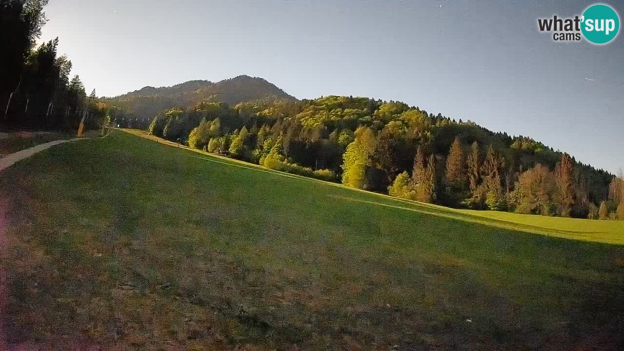 RTC Skigebiet Kranjska Gora | Brsnina