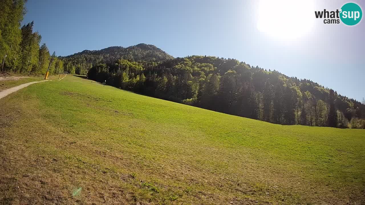 Kranjska Gora Station de ski | Brsnina