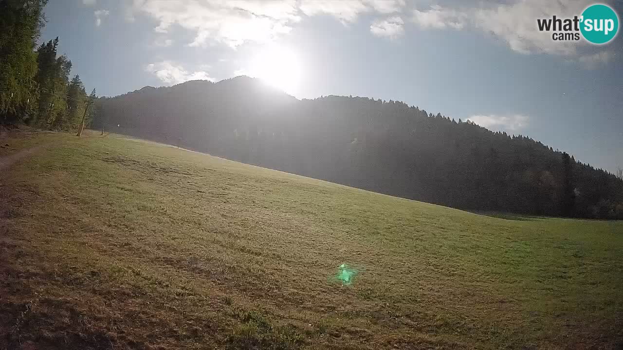 Kranjska Gora Station de ski | Brsnina