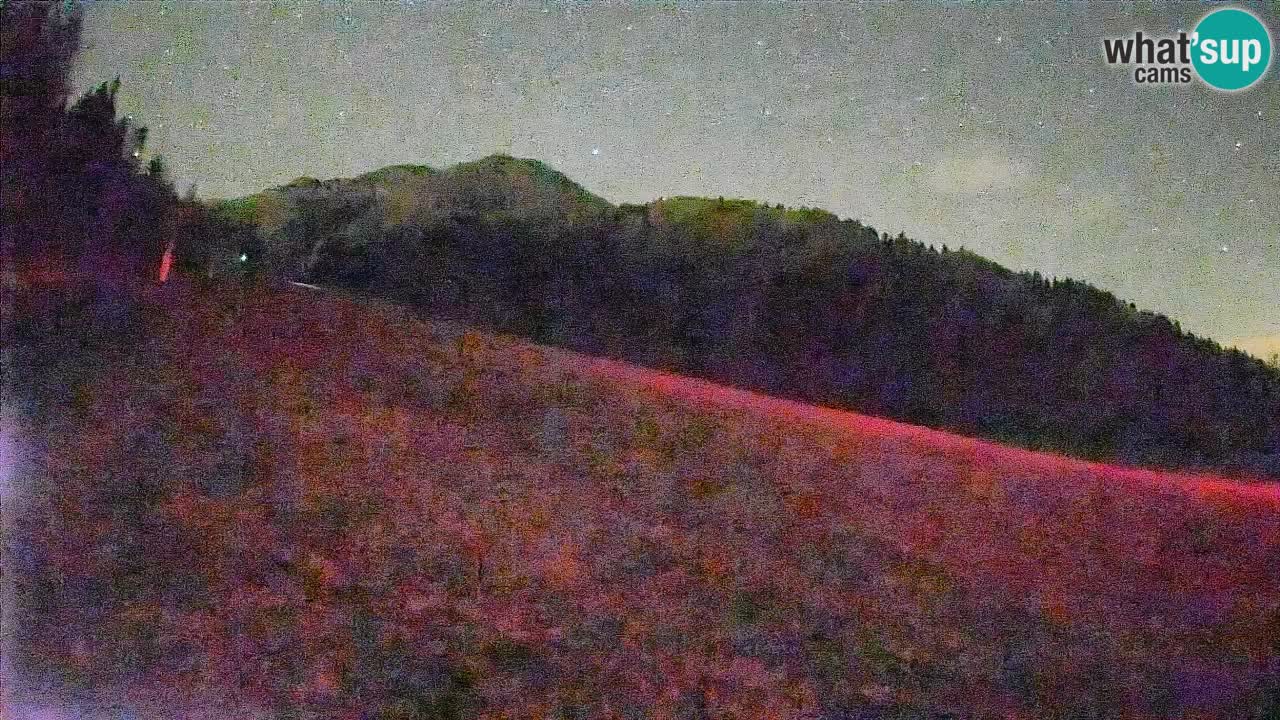 Ski Kranjska Gora | Brsnina