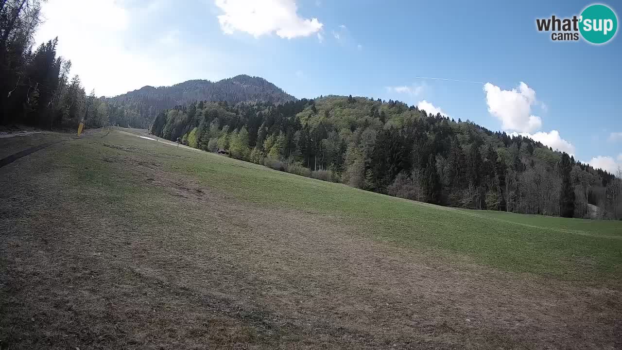 Comprensorio sciistico Kranjska Gora | Brsnina