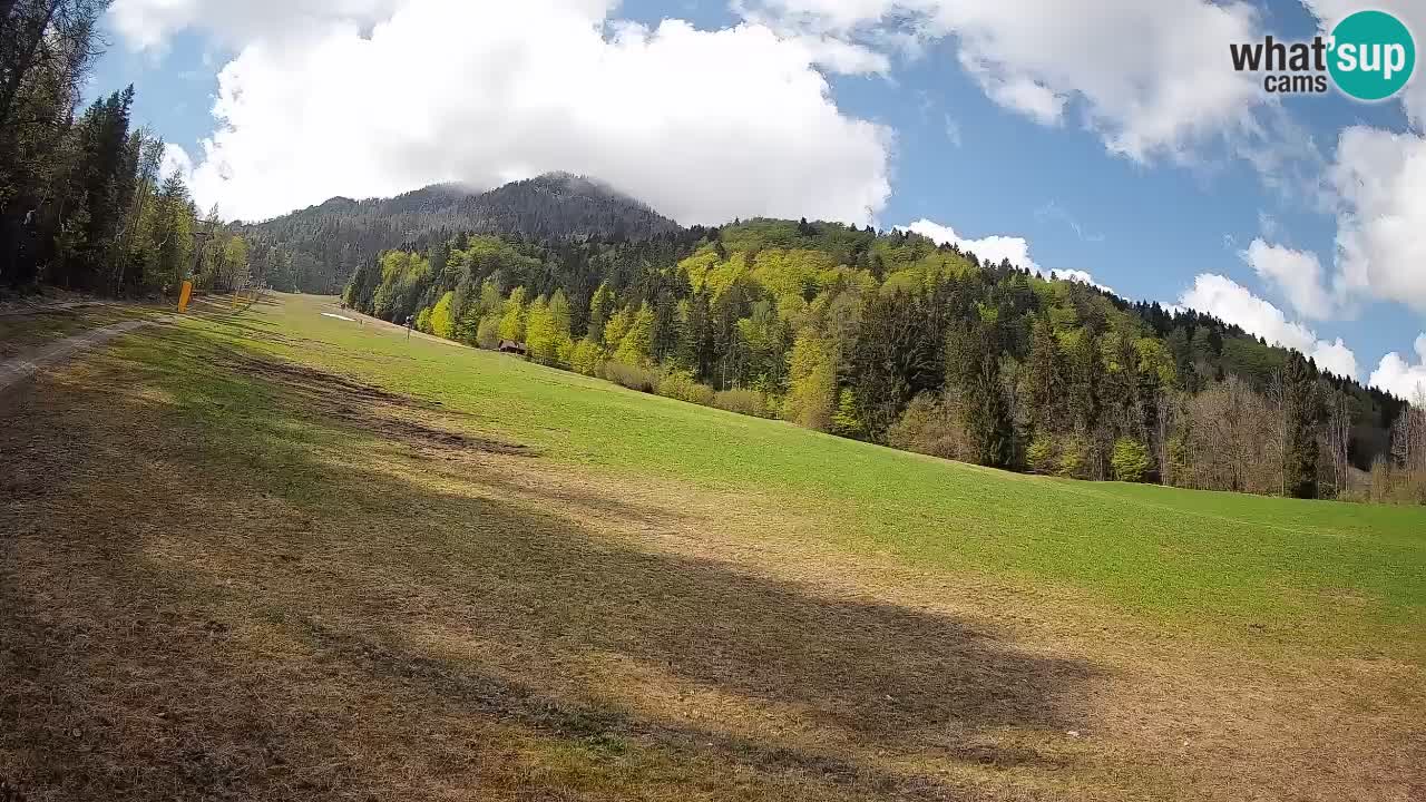 Ski Kranjska Gora | Brsnina