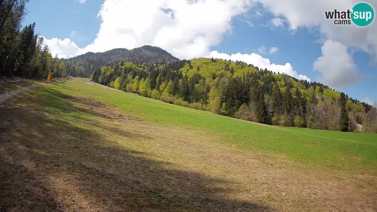 Ski Kranjska Gora | Brsnina