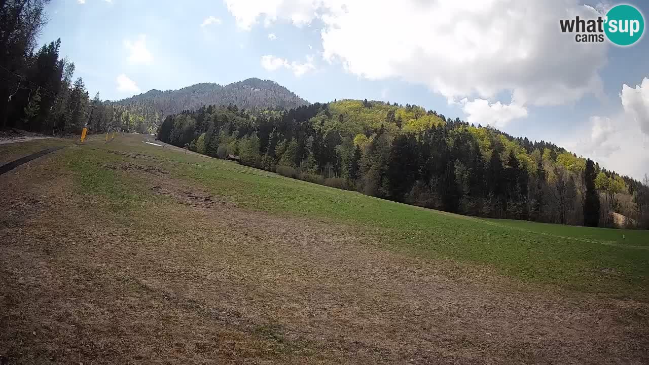 Ski Kranjska Gora | Brsnina