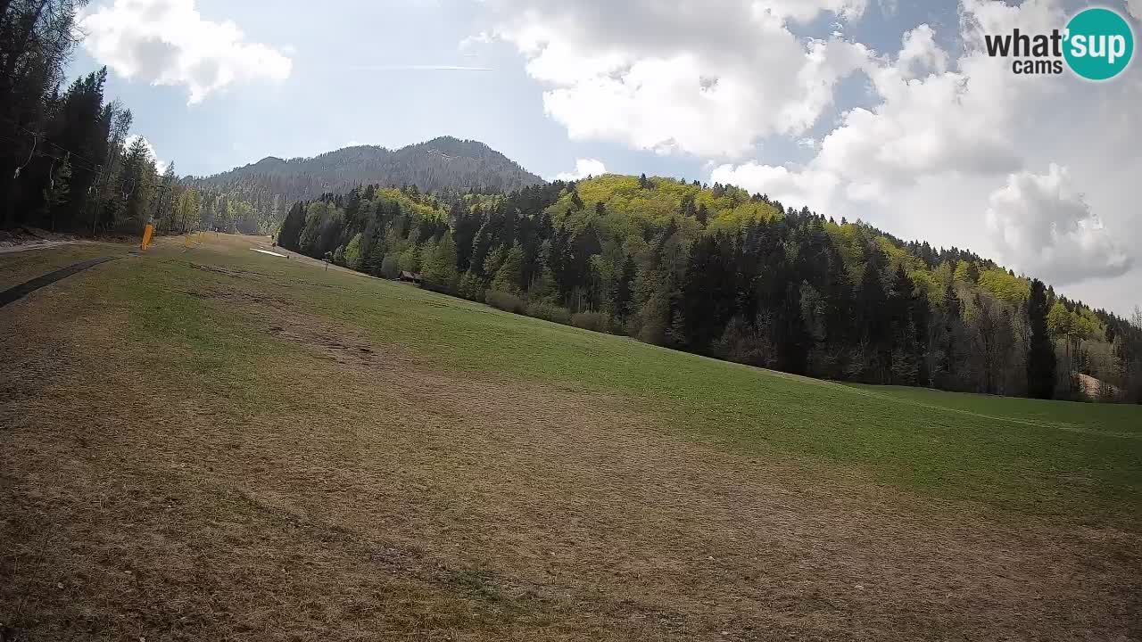 RTC Skigebiet Kranjska Gora | Brsnina