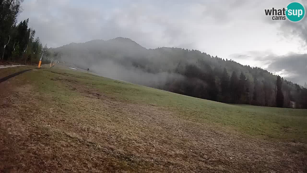 Comprensorio sciistico Kranjska Gora | Brsnina