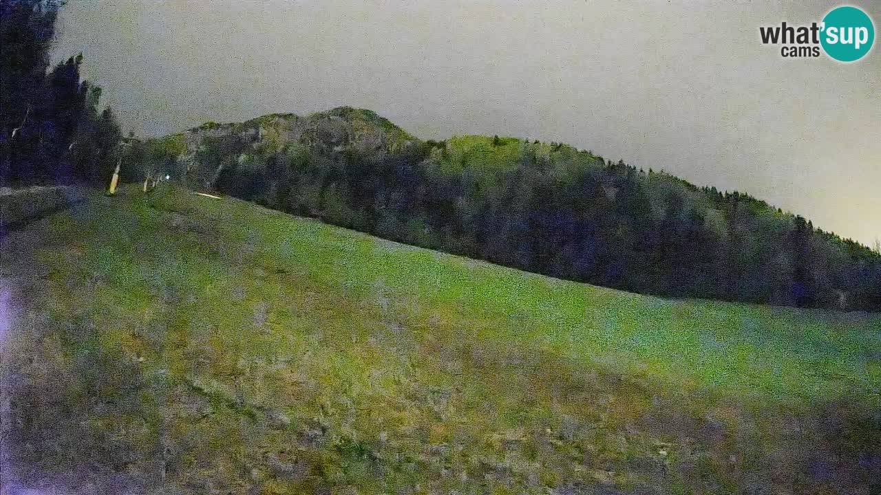 Kranjska Gora Station de ski | Brsnina