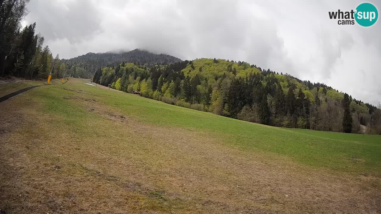 Ski Kranjska Gora | Brsnina