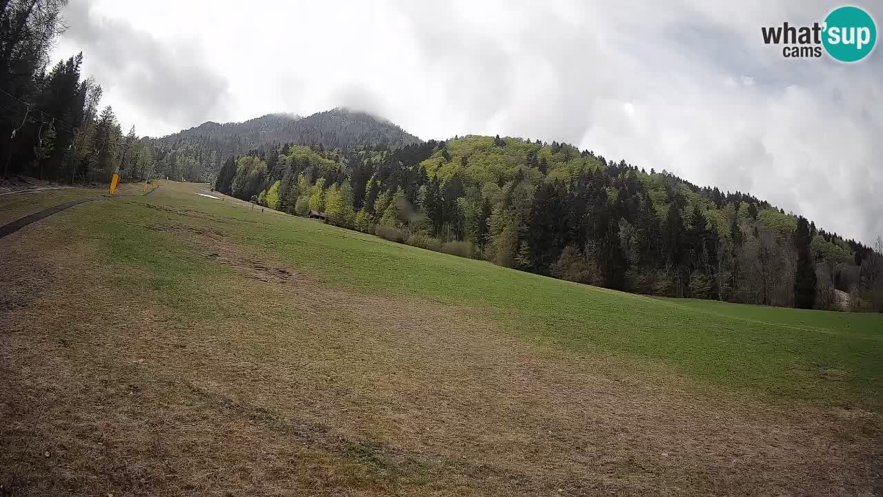 RTC Skigebiet Kranjska Gora | Brsnina