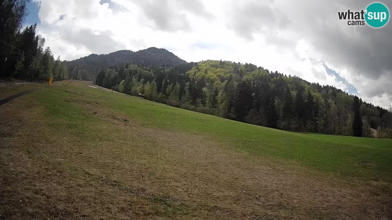 RTC Skigebiet Kranjska Gora | Brsnina