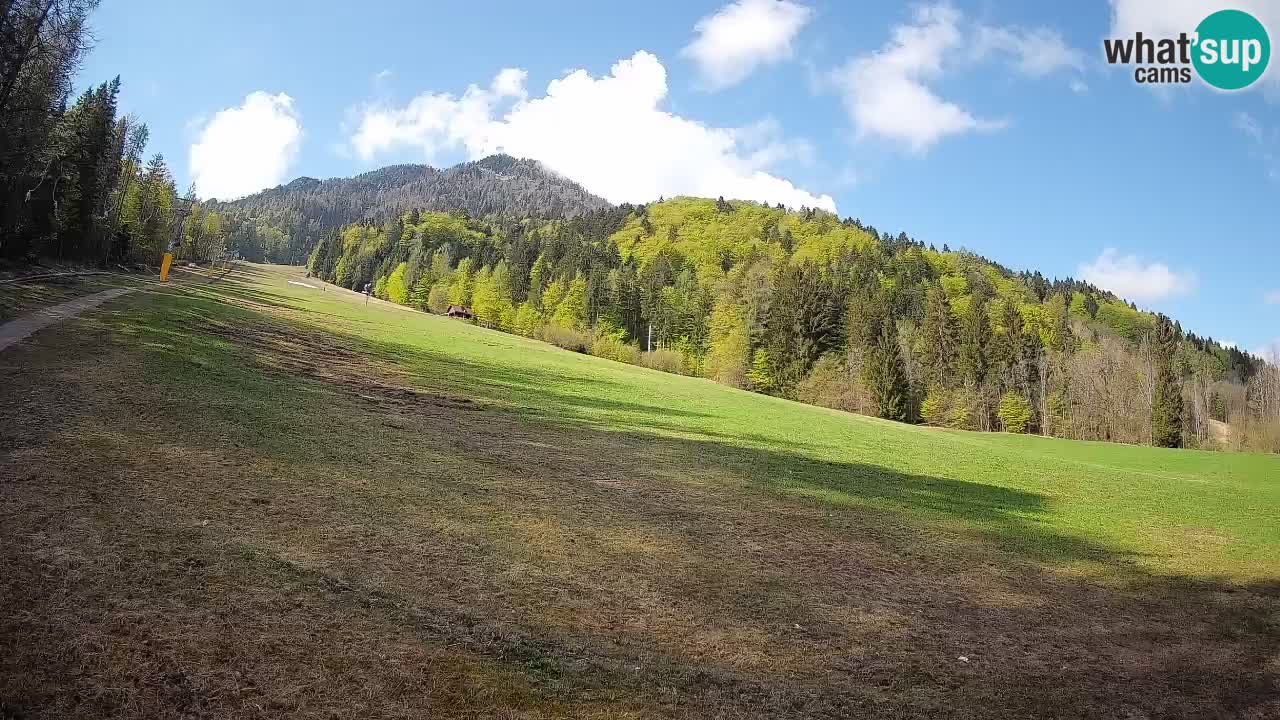 Ski Kranjska Gora | Brsnina