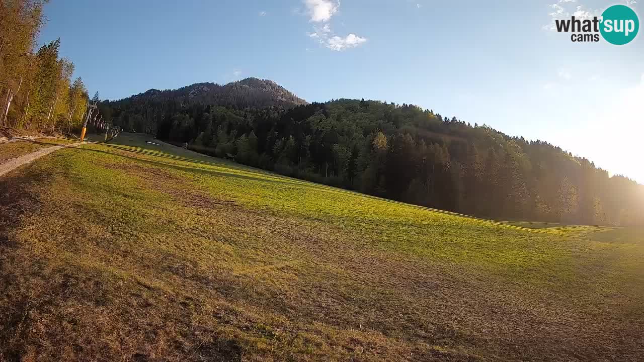 RTC Skigebiet Kranjska Gora | Brsnina