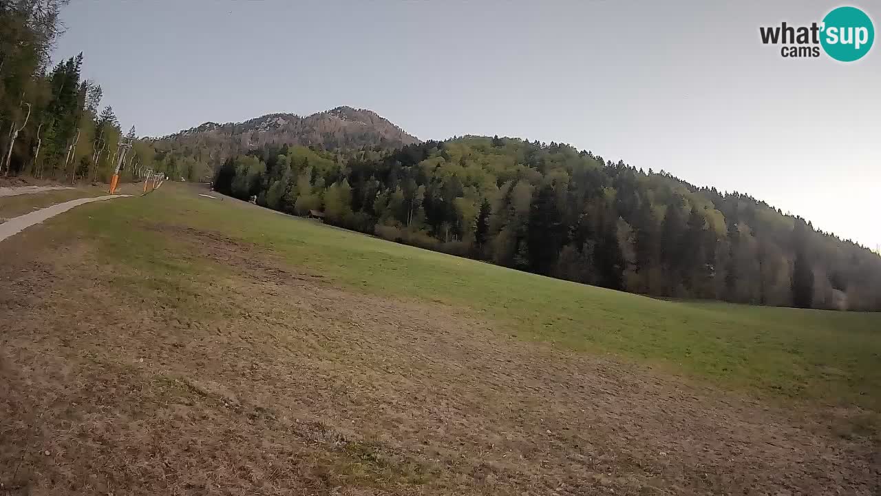 RTC Skigebiet Kranjska Gora | Brsnina