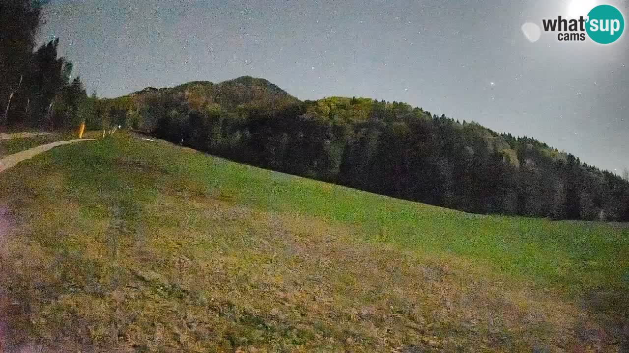 Kranjska Gora Station de ski | Brsnina