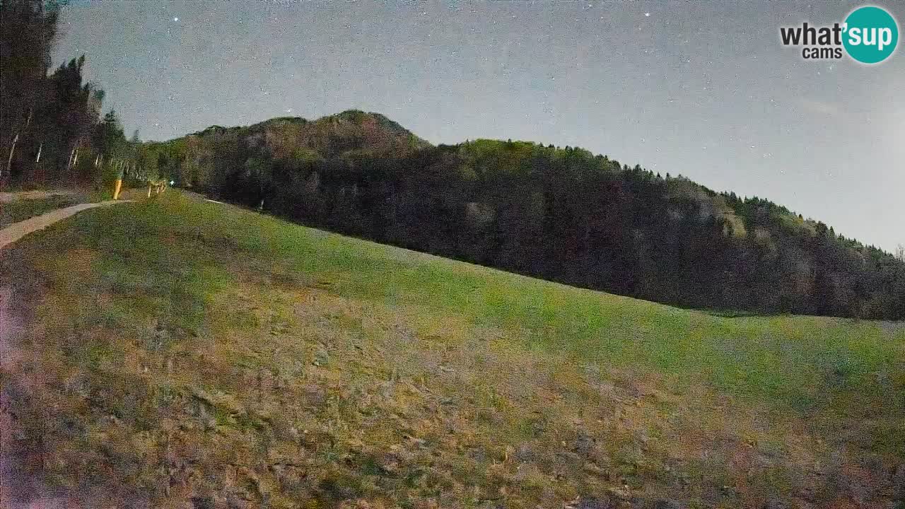 RTC Kranjska Gora | Brsnina