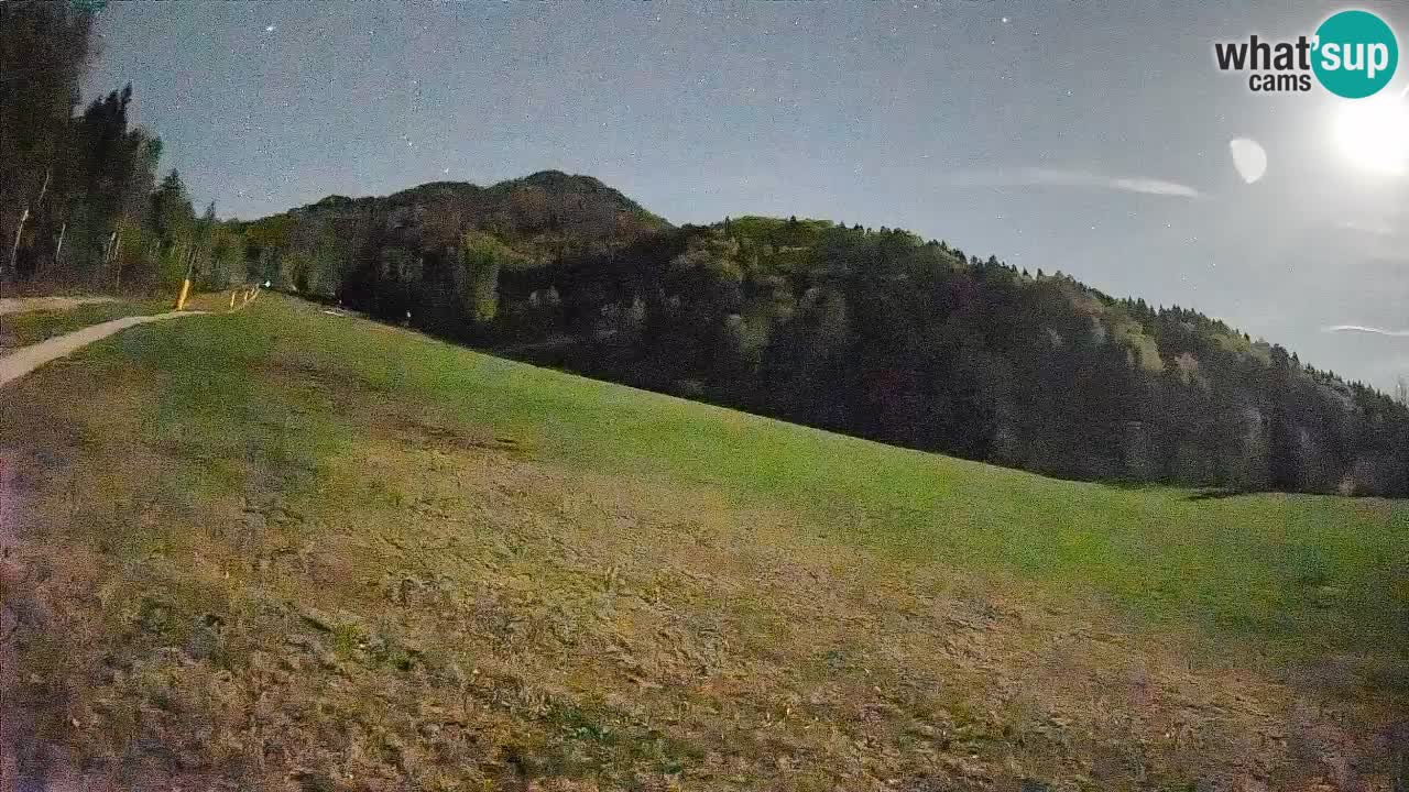 Ski Kranjska Gora | Brsnina