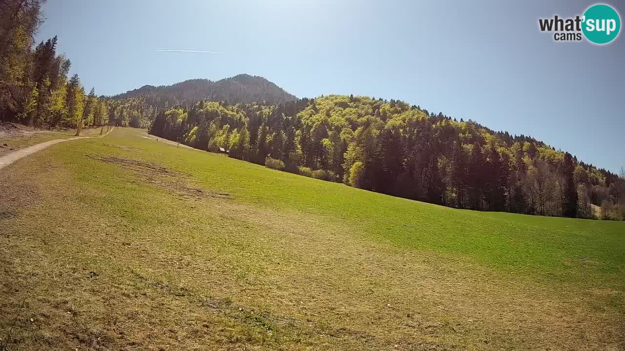 Ski Kranjska Gora | Brsnina