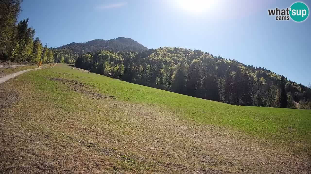 Ski Kranjska Gora | Brsnina
