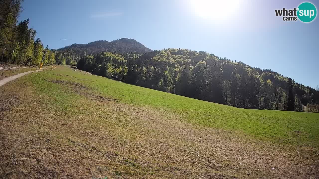 RTC Kranjska Gora | Brsnina