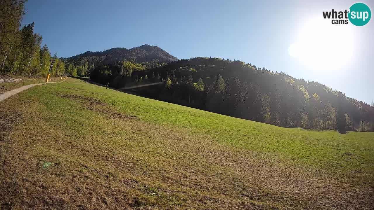 Kranjska Gora SKIJANJE | Brsnina