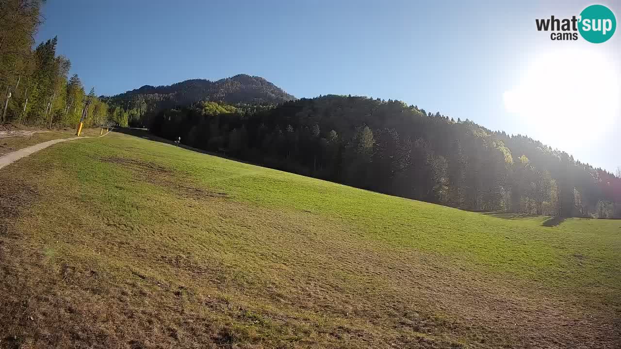 Kranjska Gora SKIJANJE | Brsnina
