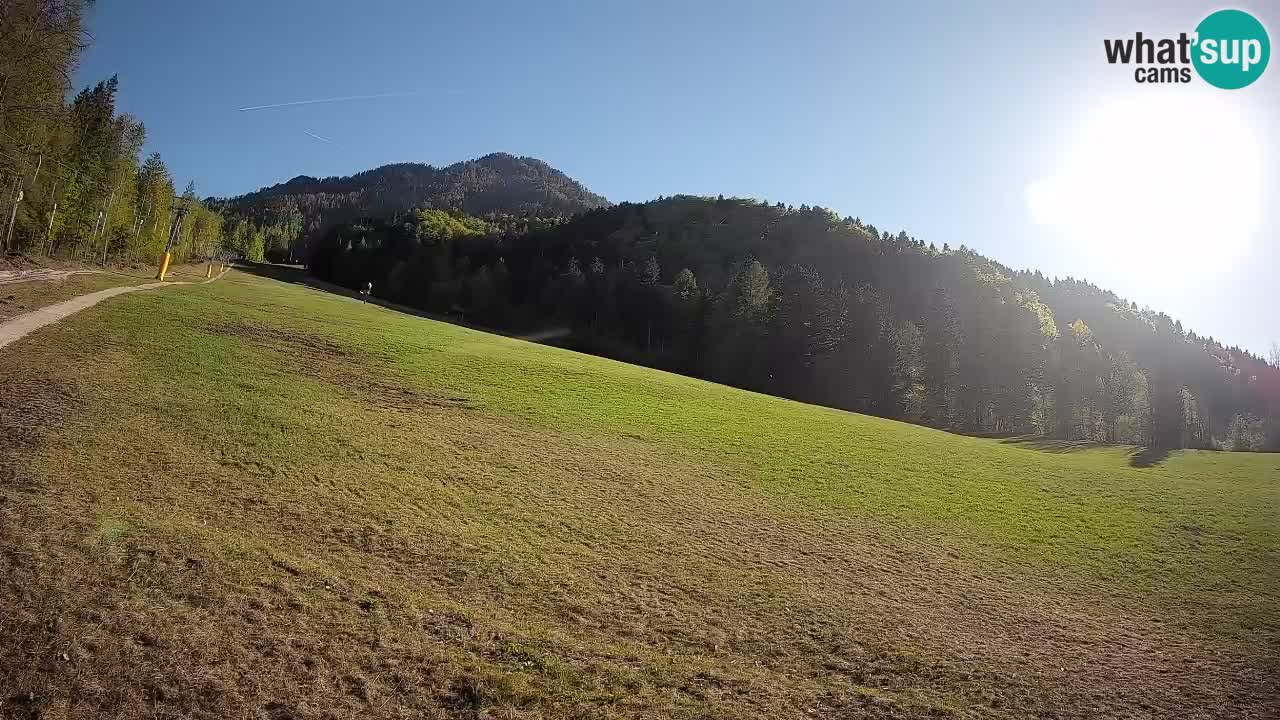 Kranjska Gora Station de ski | Brsnina