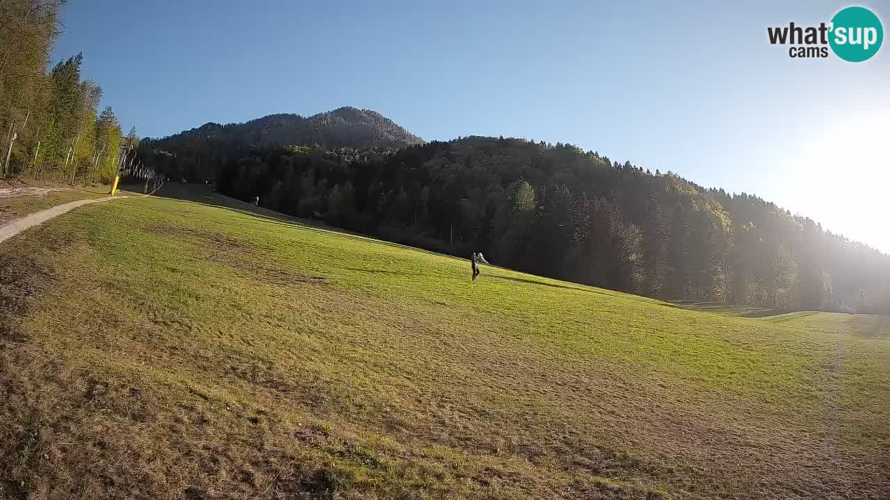 Kranjska Gora Station de ski | Brsnina