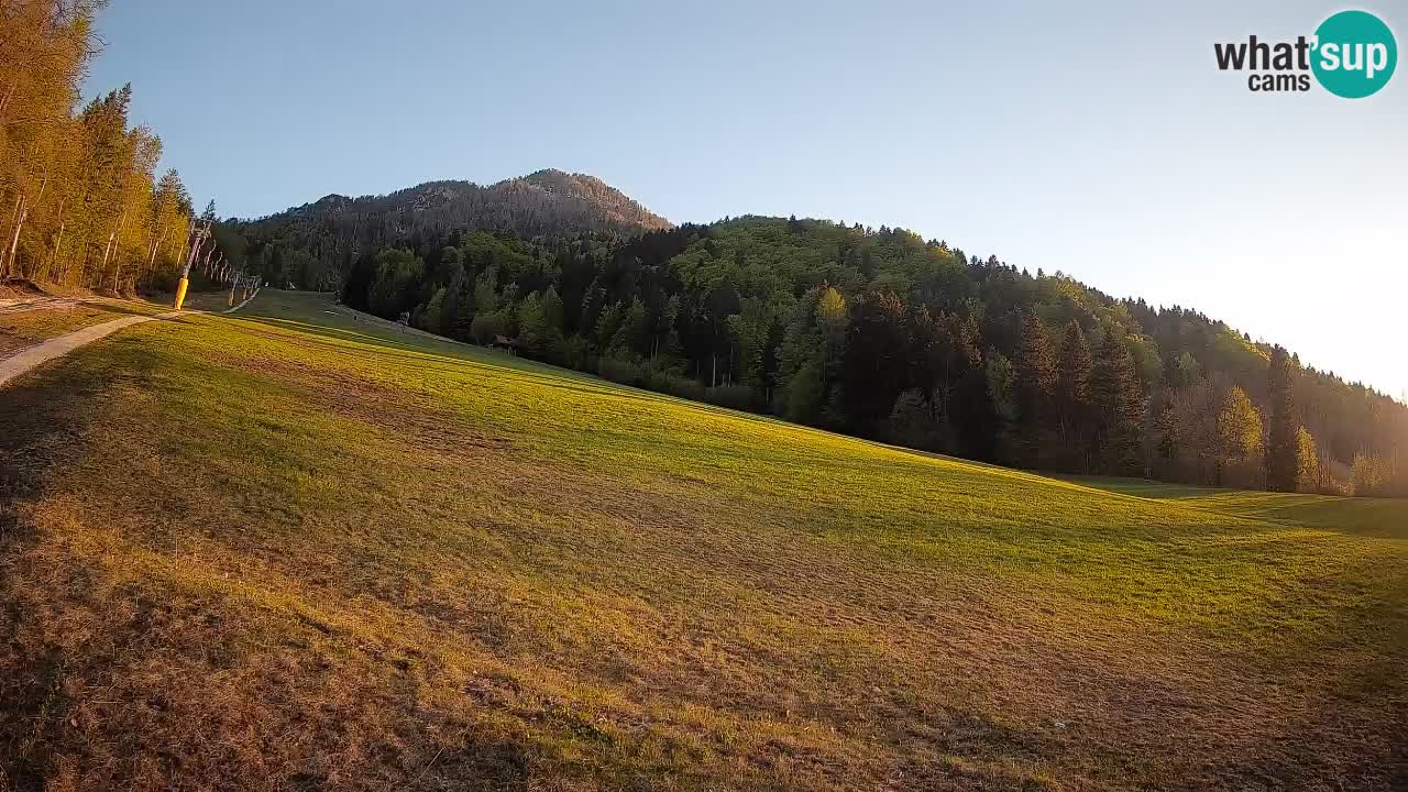 Kranjska Gora SKIJANJE | Brsnina