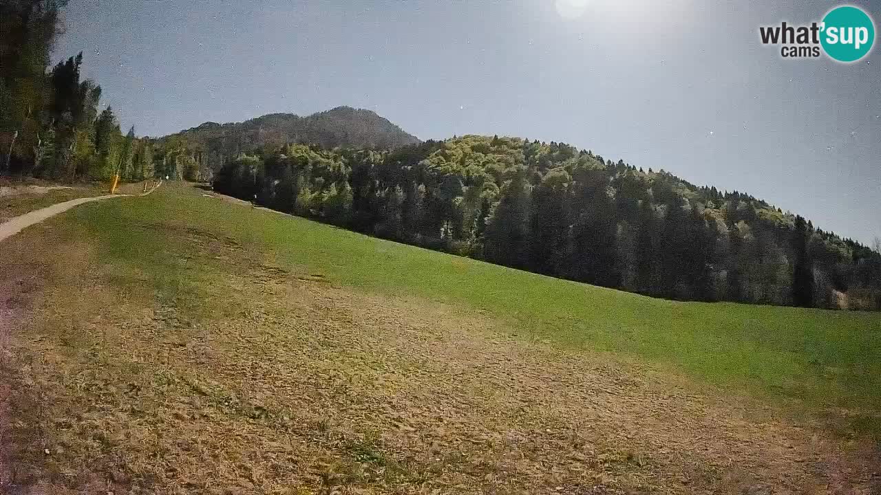 Comprensorio sciistico Kranjska Gora | Brsnina