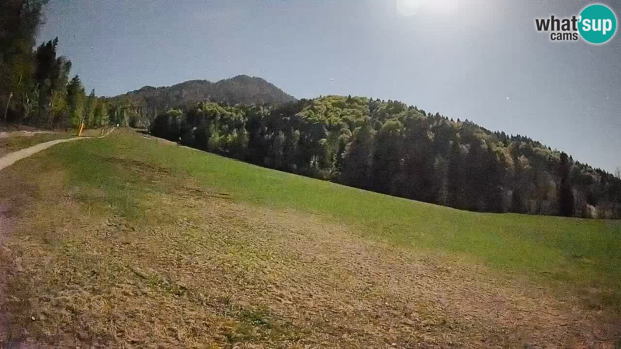Kranjska Gora SKIJANJE | Brsnina
