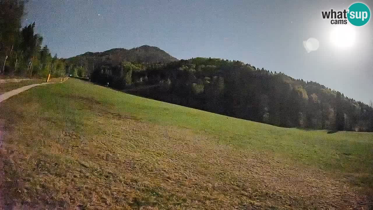 Ski Kranjska Gora | Brsnina