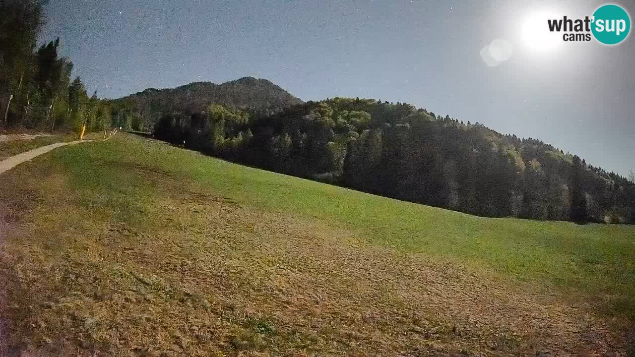 Esquí Kranjska Gora | Brsnina