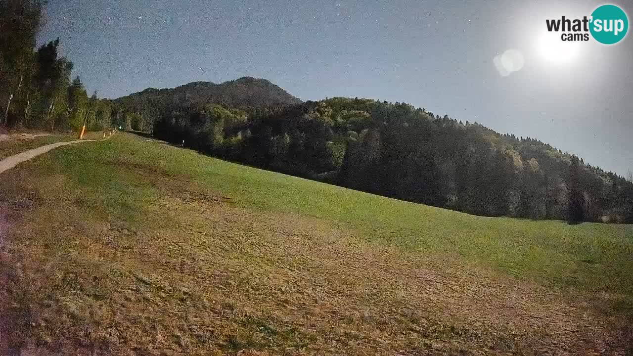 RTC Skigebiet Kranjska Gora | Brsnina