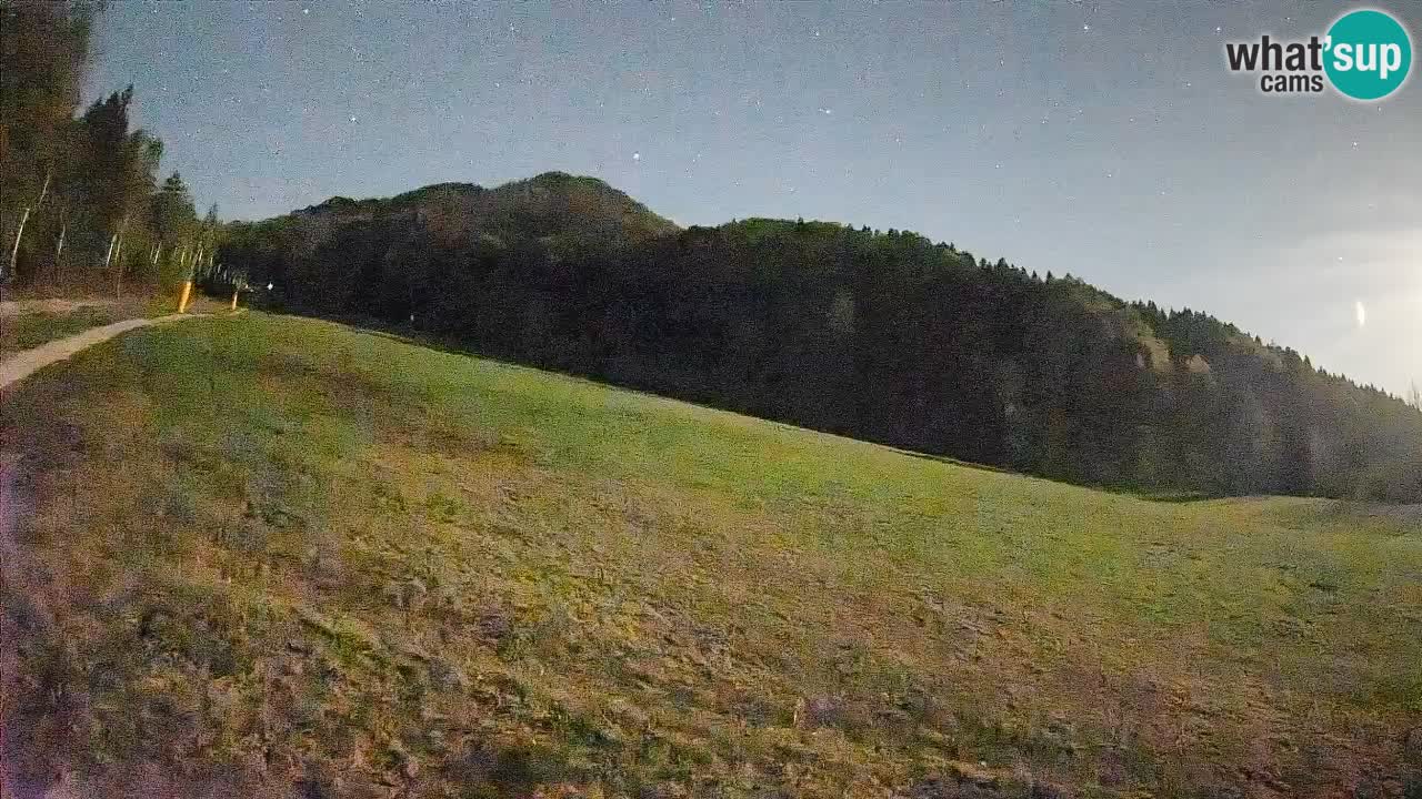 RTC Skigebiet Kranjska Gora | Brsnina