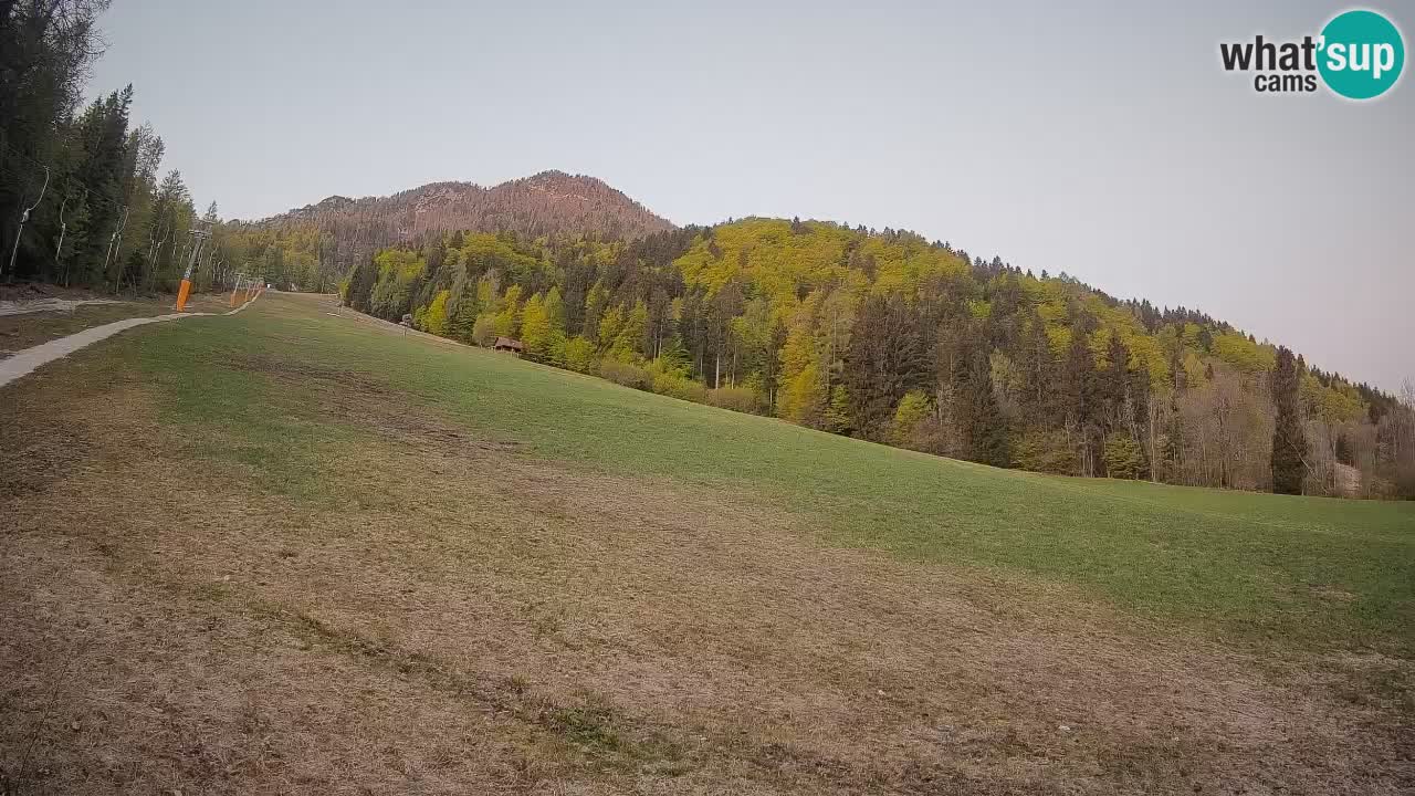 Esquí Kranjska Gora | Brsnina