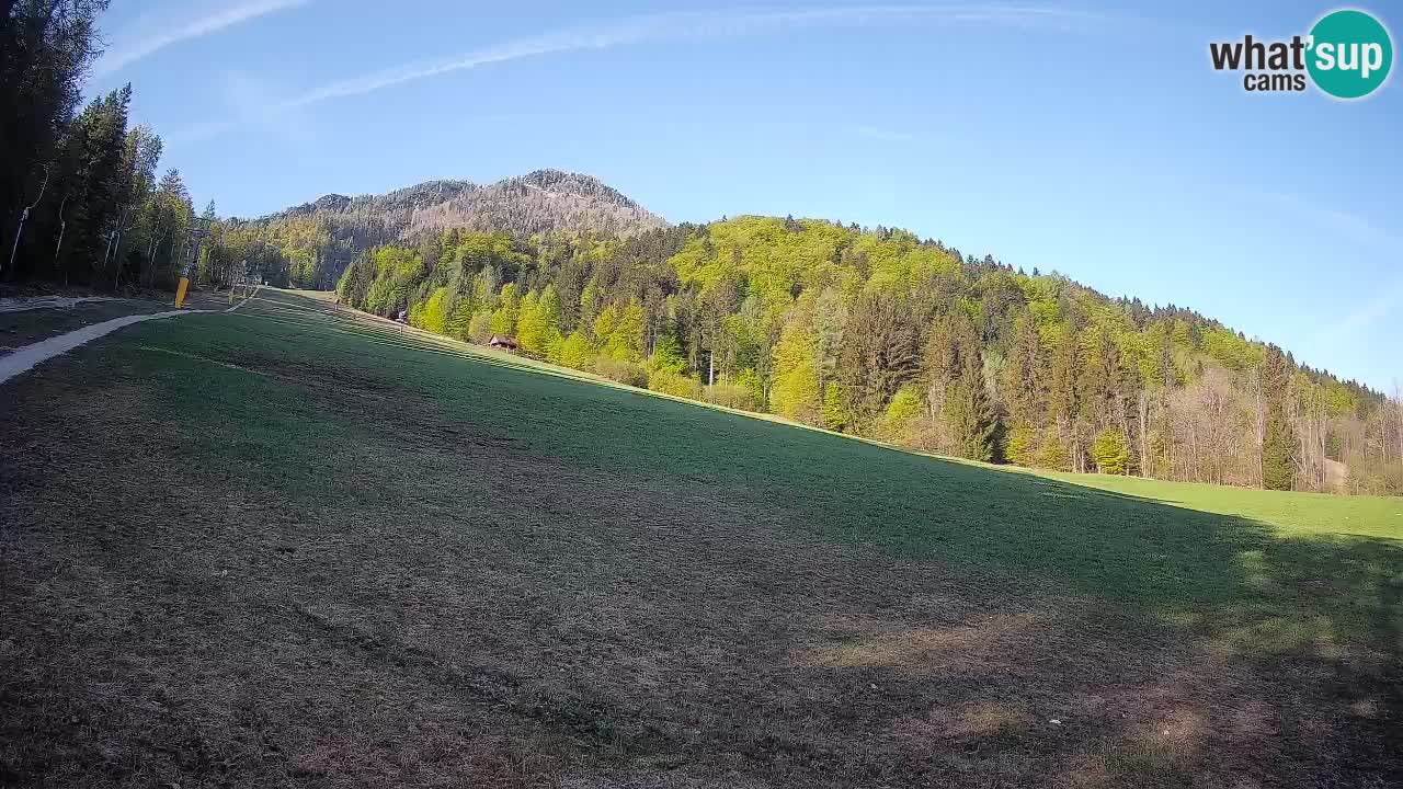 RTC Skigebiet Kranjska Gora | Brsnina