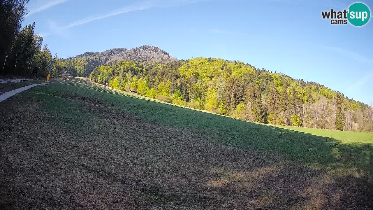 RTC Kranjska Gora | Brsnina