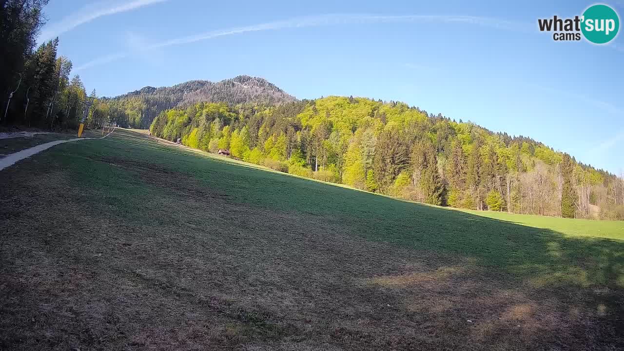 RTC Skigebiet Kranjska Gora | Brsnina