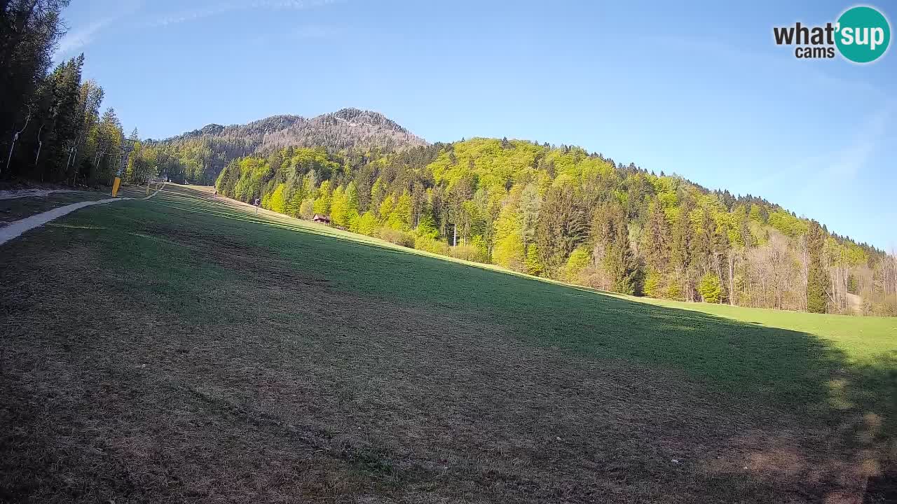 Kranjska Gora Station de ski | Brsnina