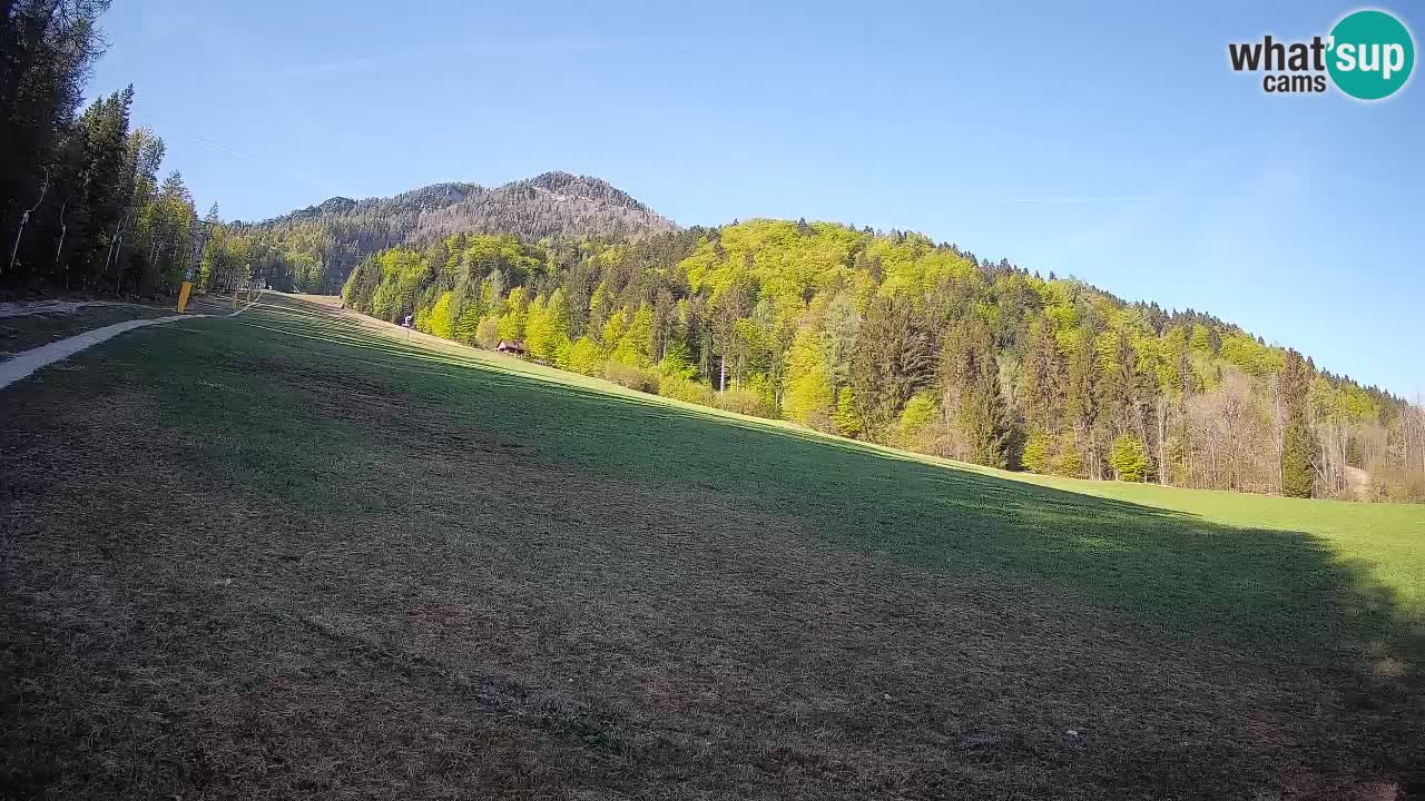 RTC Kranjska Gora | Brsnina